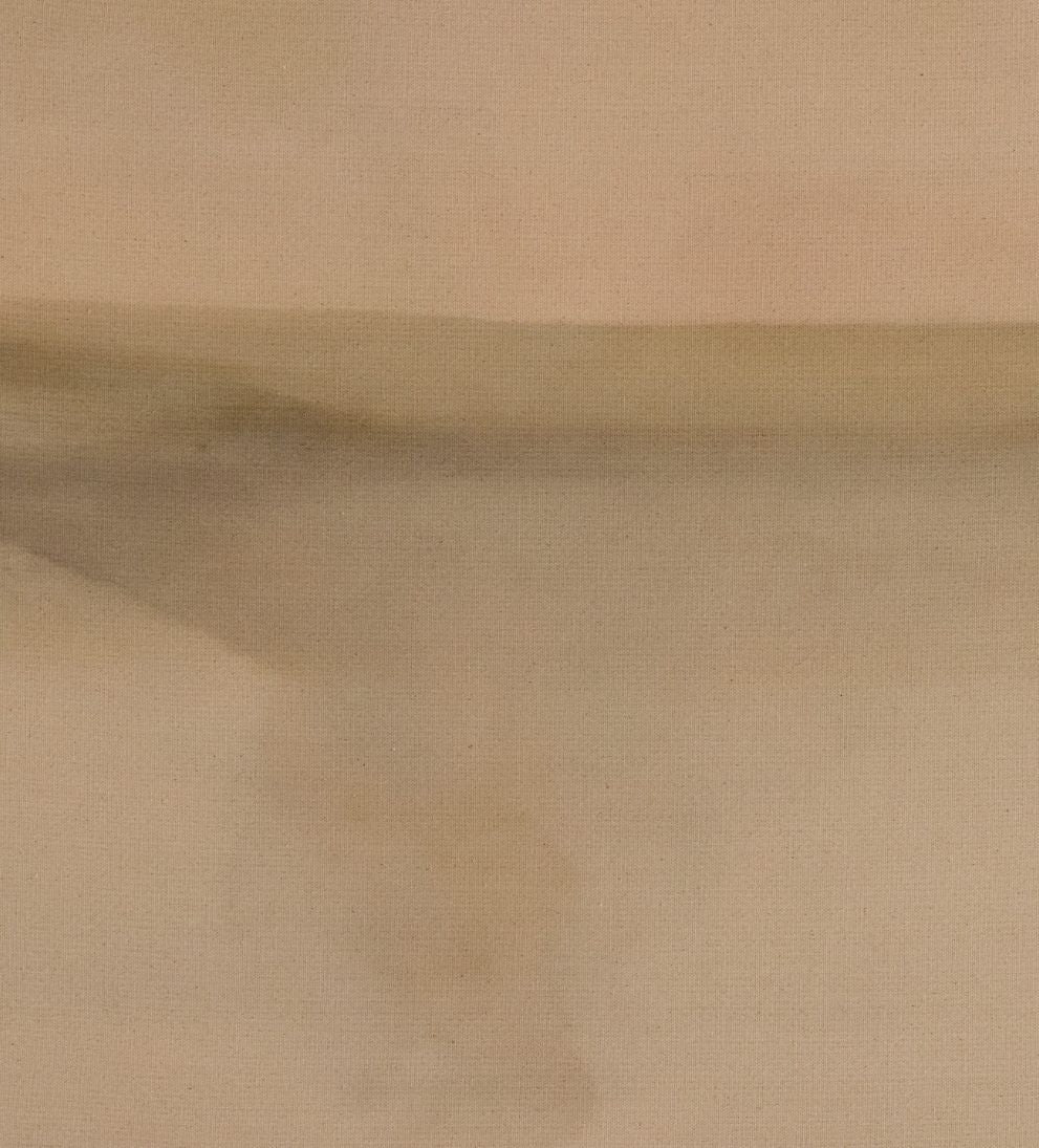Abstract Ombre 01 by Roseanne Kenny Art