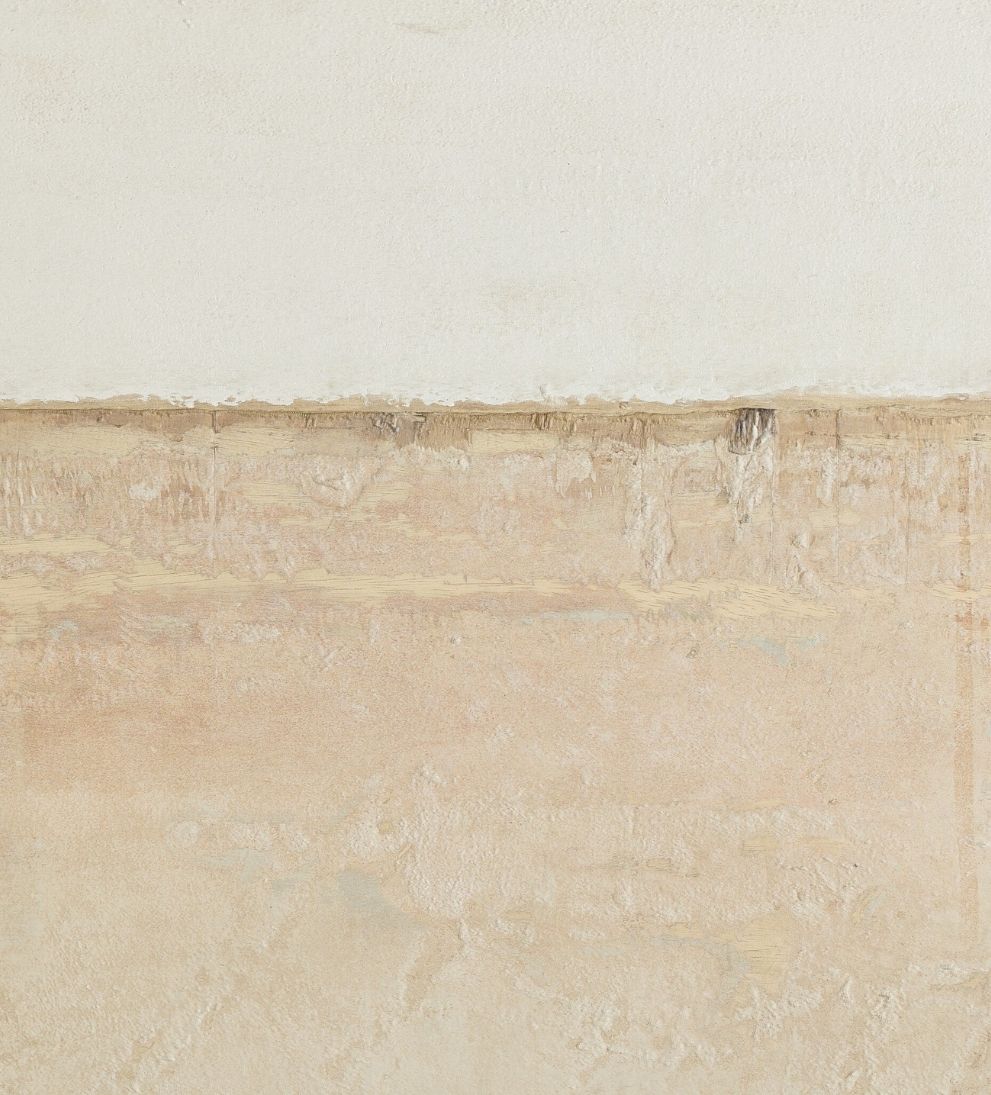 Coastal Desert by Paul Meyer Art