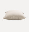 Colin Indoor/Outdoor Pillow Pillows