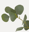 Faux Eucalyptus Tree