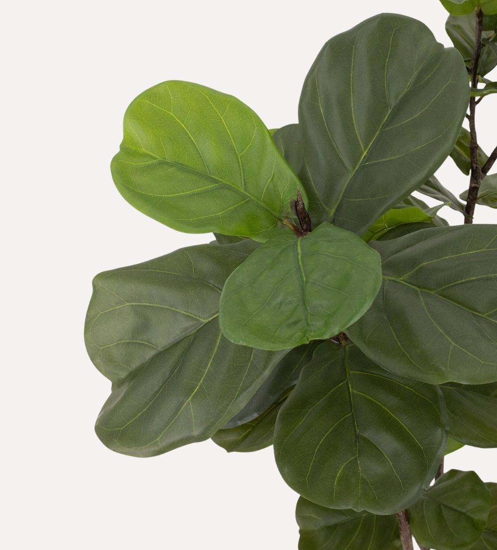 Faux Fiddle Leaf Tree Plants