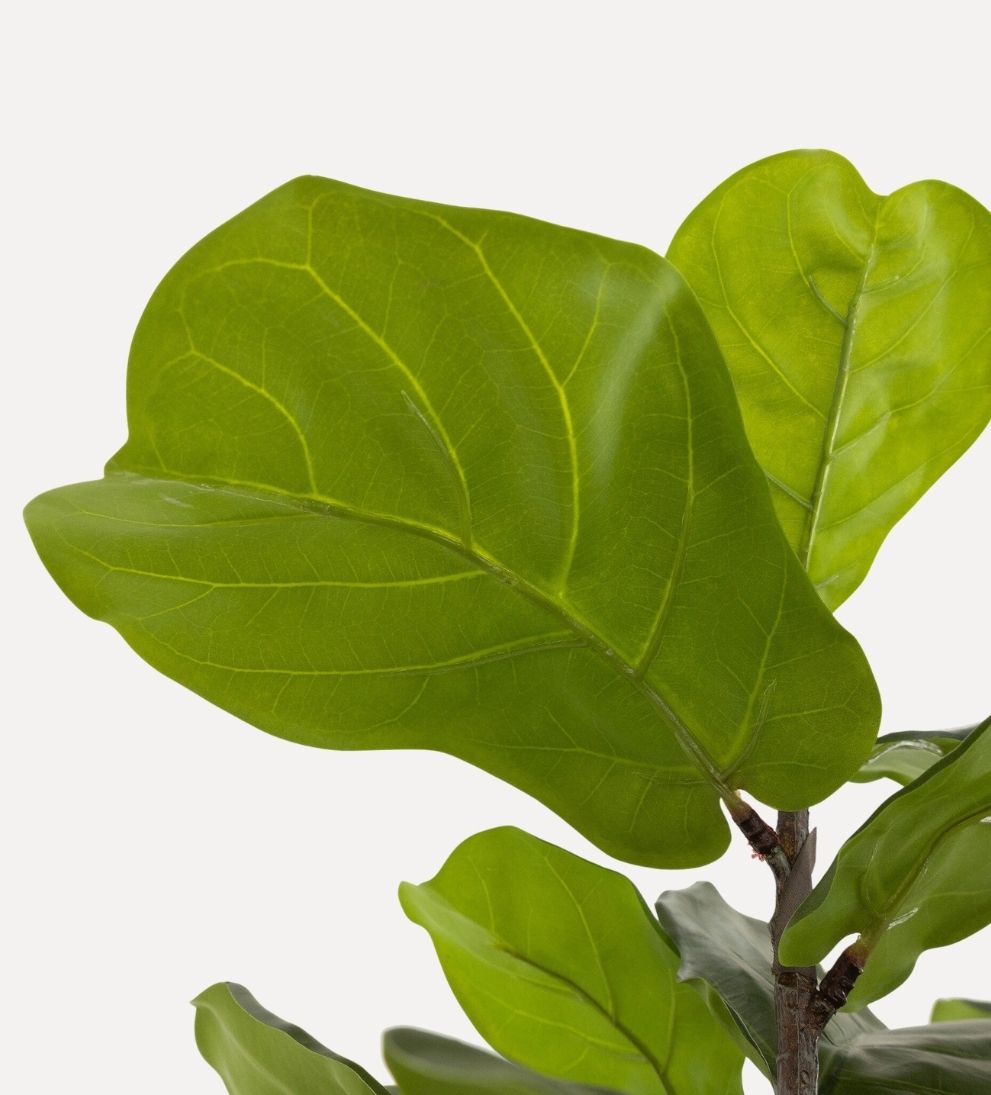 Faux Fiddle Leaf Tree Plants