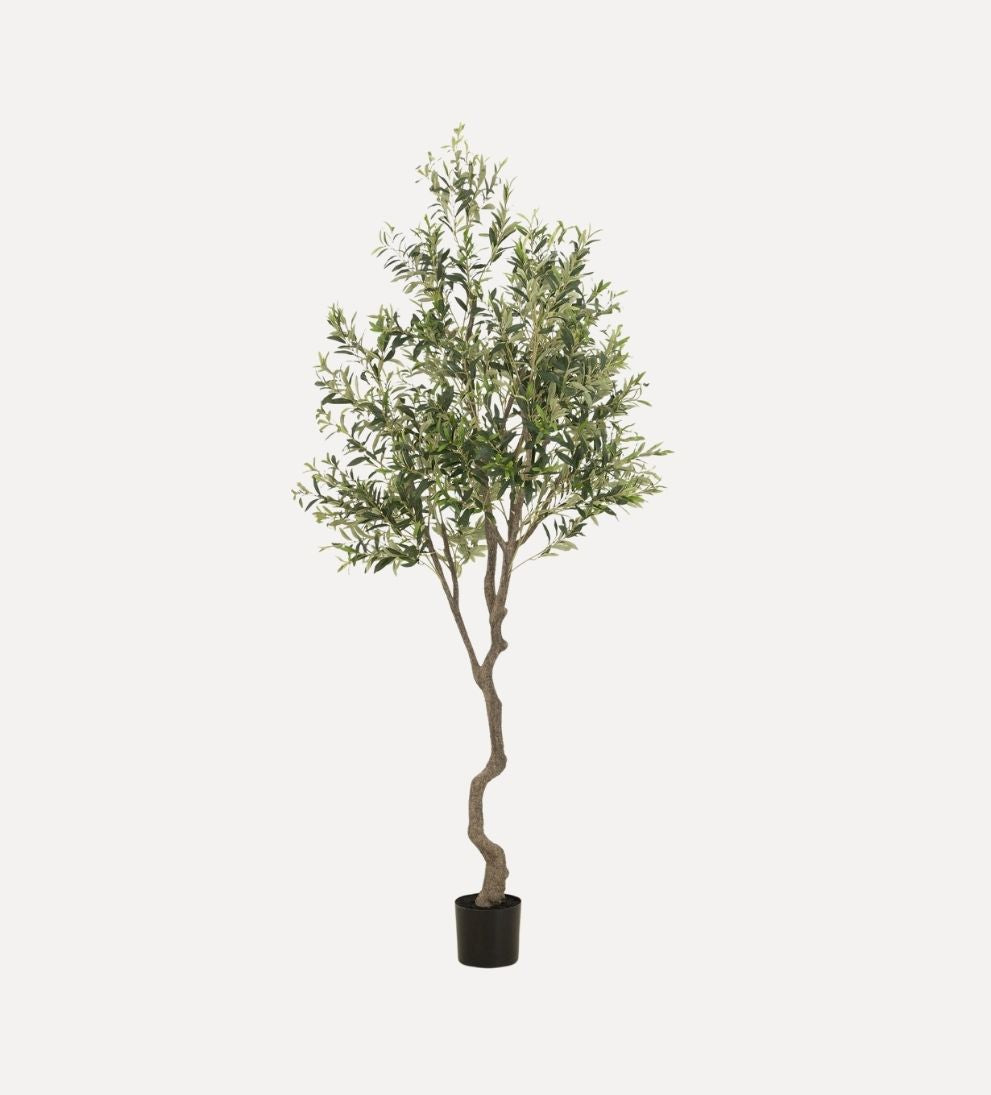 Faux Olive Tree Plants