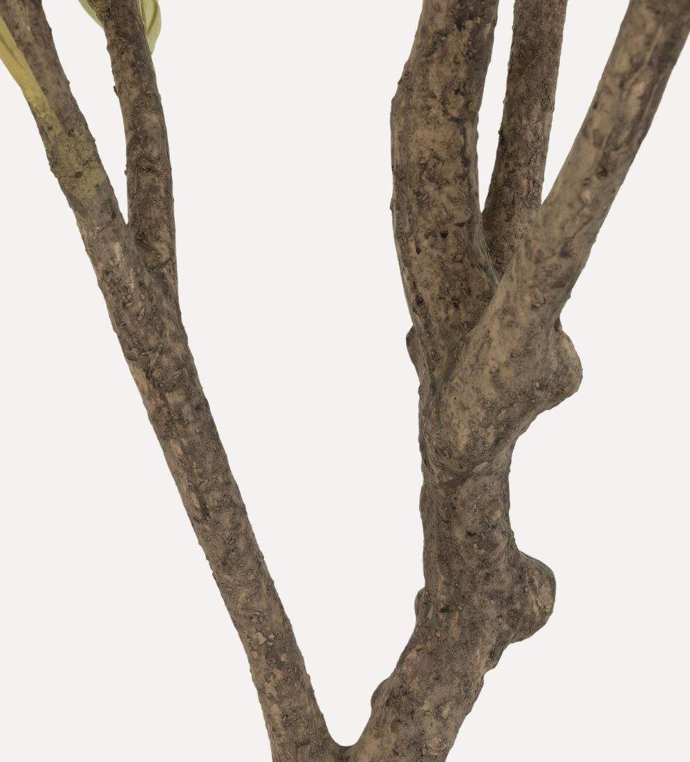 Faux Olive Tree Plants