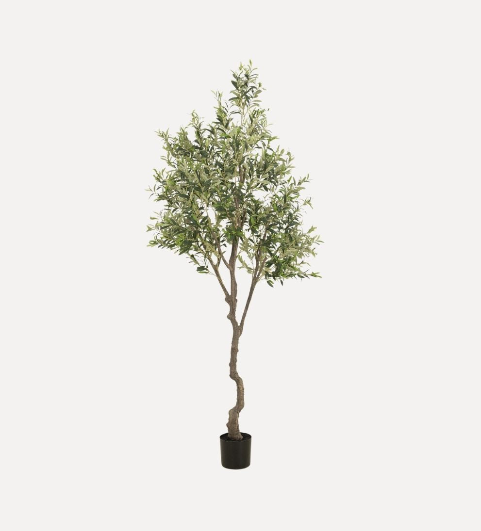 Faux Olive Tree Plants