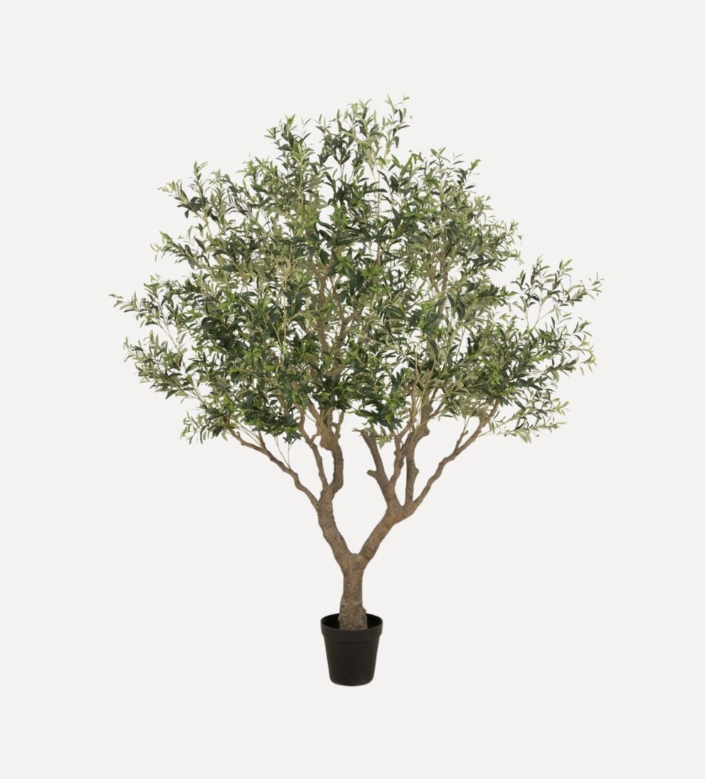 Faux Olive Tree (Wide) Plants