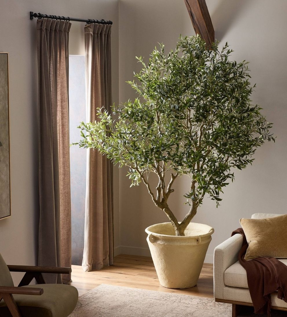 Faux Olive Tree (Wide) Plants
