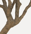 Faux Olive Tree (Wide)
