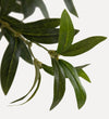 Faux Olive Tree (Wide)