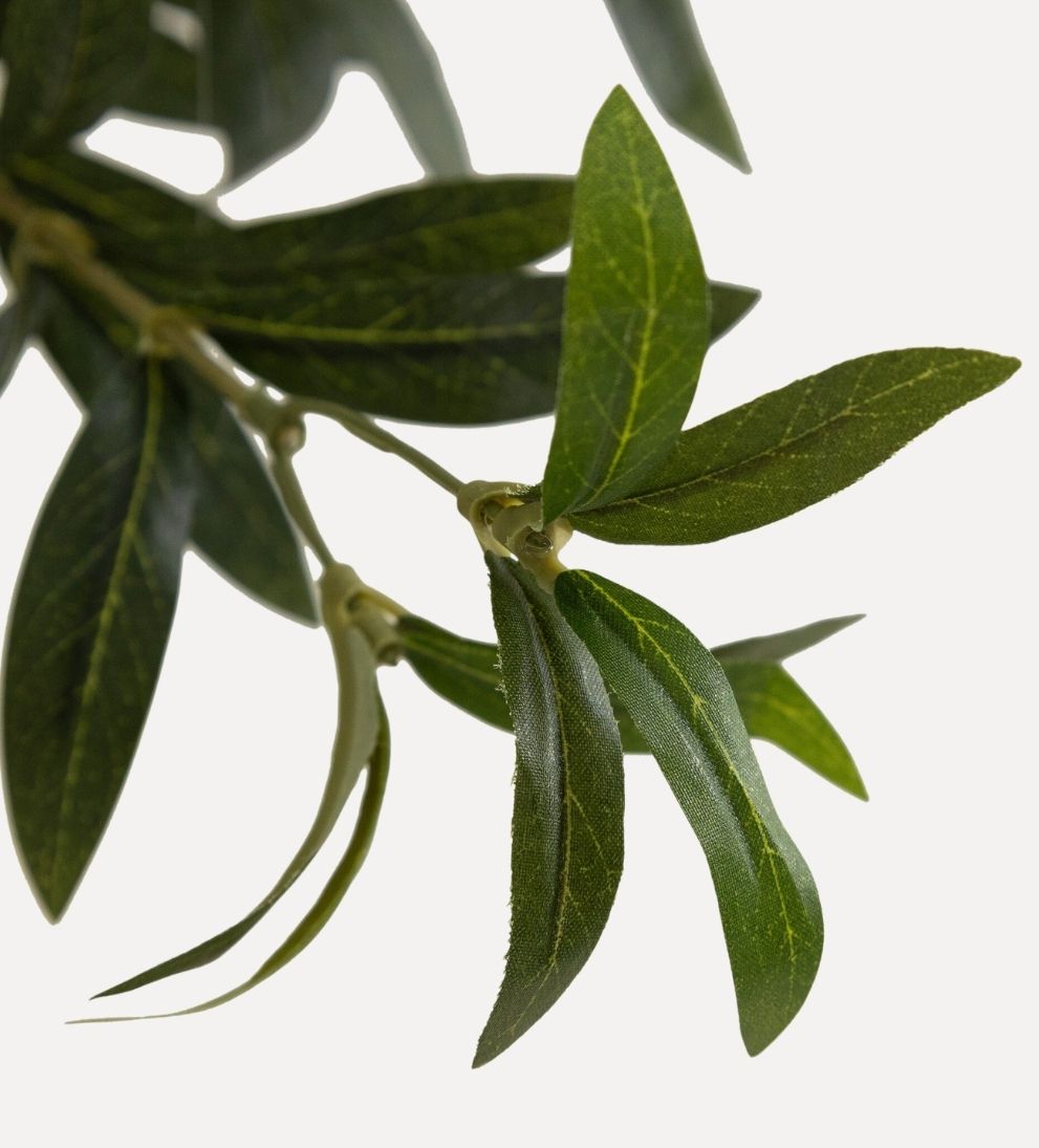 Faux Olive Tree (Wide) Plants