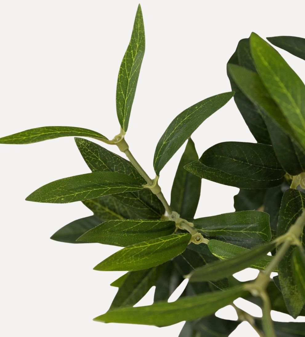 Faux Olive Tree (Wide) Plants