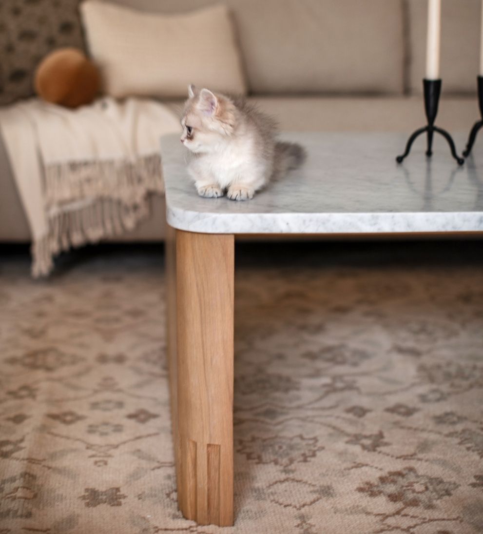 Ingrid Coffee Table Coffee Tables