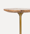 Lauren Drink Table in Brown Marble Side & End Tables