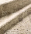 Leona Rug Rugs