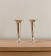 Lucienne Silver Soliflore Vase Set (Set of 2) Vases
