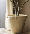 Oliver Tall Paper Mache Vessel Planters + Pots
