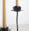 Raine Candelabra Candle Holders