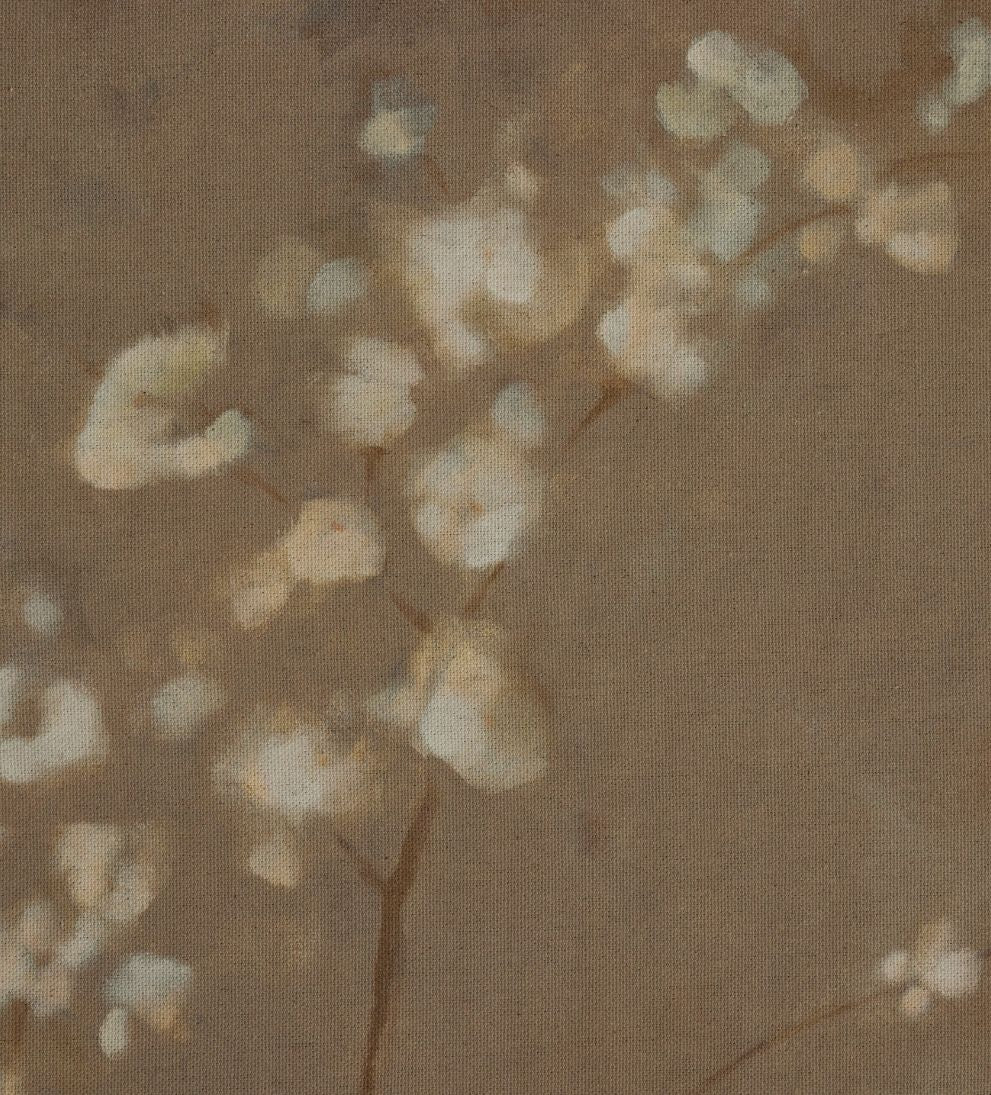Sakura by Jess Engle Art