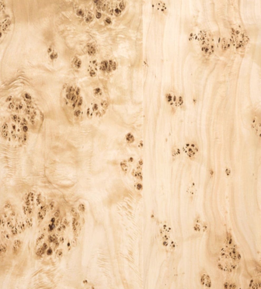 Dallas Burl Mirror Mirrors