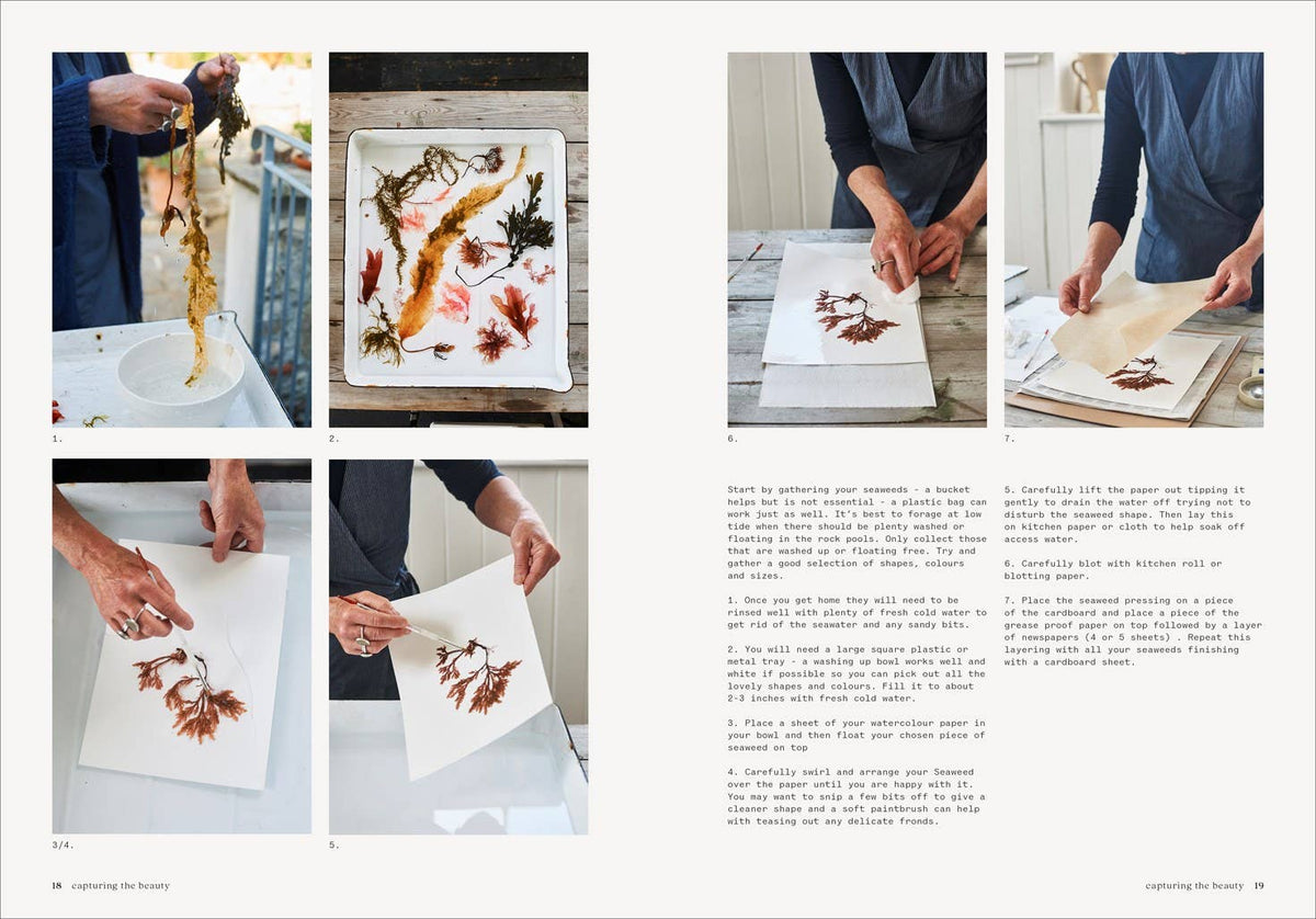 Seaweed: Foraging, Collecting, Pressing Books