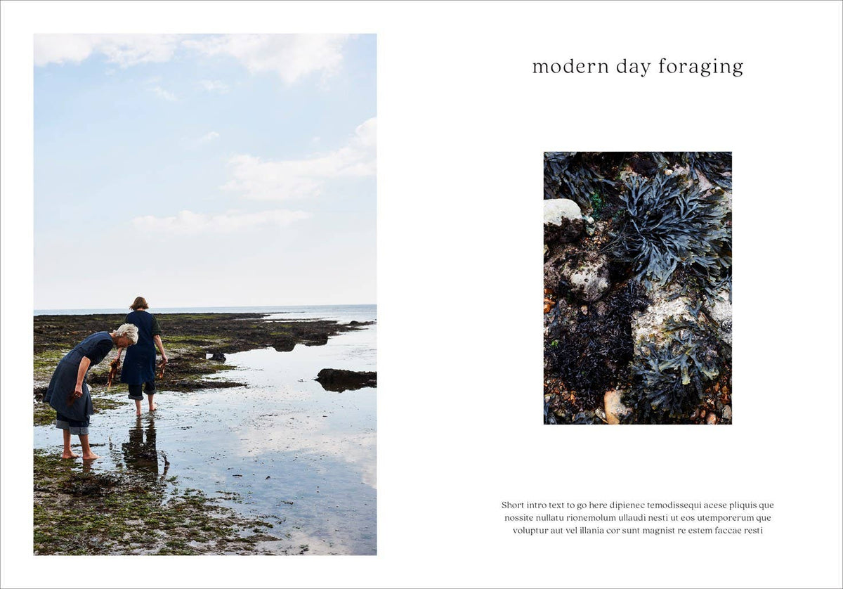Seaweed: Foraging, Collecting, Pressing Books
