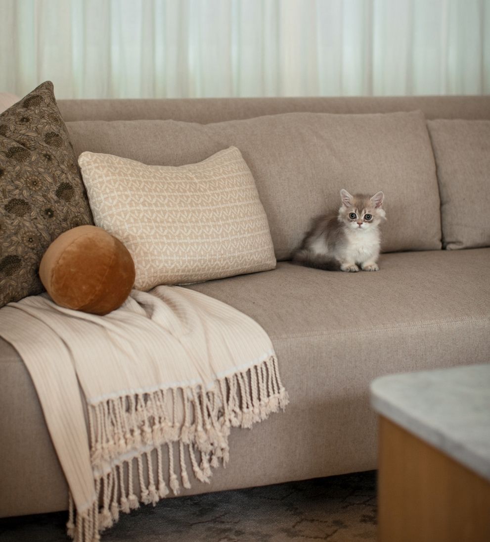 Josephine Custom 120" Sofa Sofas