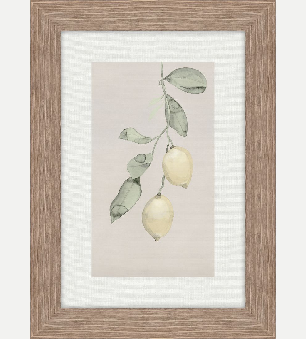 Lemon Branch I Art